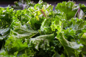 Green Kale close up