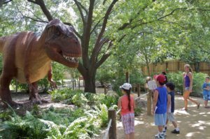Dino