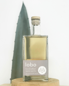 Agave spirit