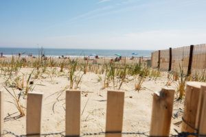 Rehoboth