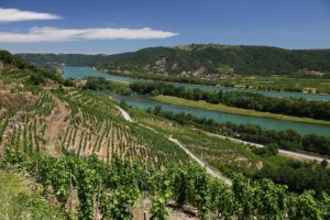 Vignoble Vallée du Rhône Côtes du Rhône Drôme Provence France