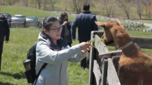 Farm tour