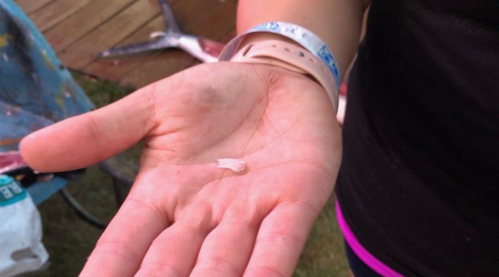 Brenda Rudnicky holds up an otolith, which is a small fingernail-like growth found in tuna that can be used to calculate the age of a fish.