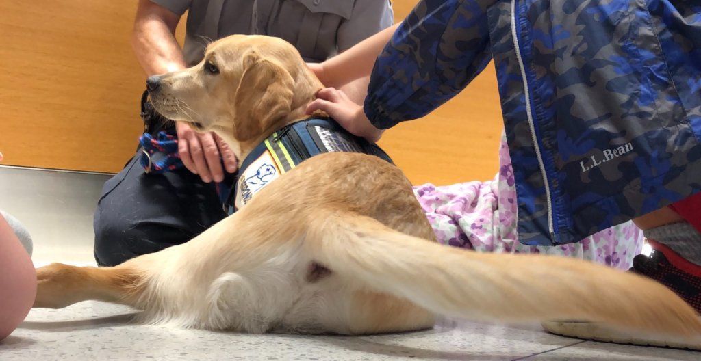 Here's Lenny with her new friends on the floor of the police department's Public Safety HQ in Fairfax, Virginia, on Tuesday, Aug. 13, 2019.