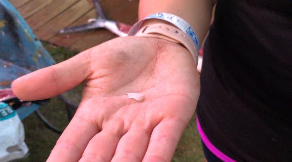 Brenda Rudnicky holds up an otolith, which is a fingernail-like growth found in the ears of fish that can be used to calculate the age of a fish.