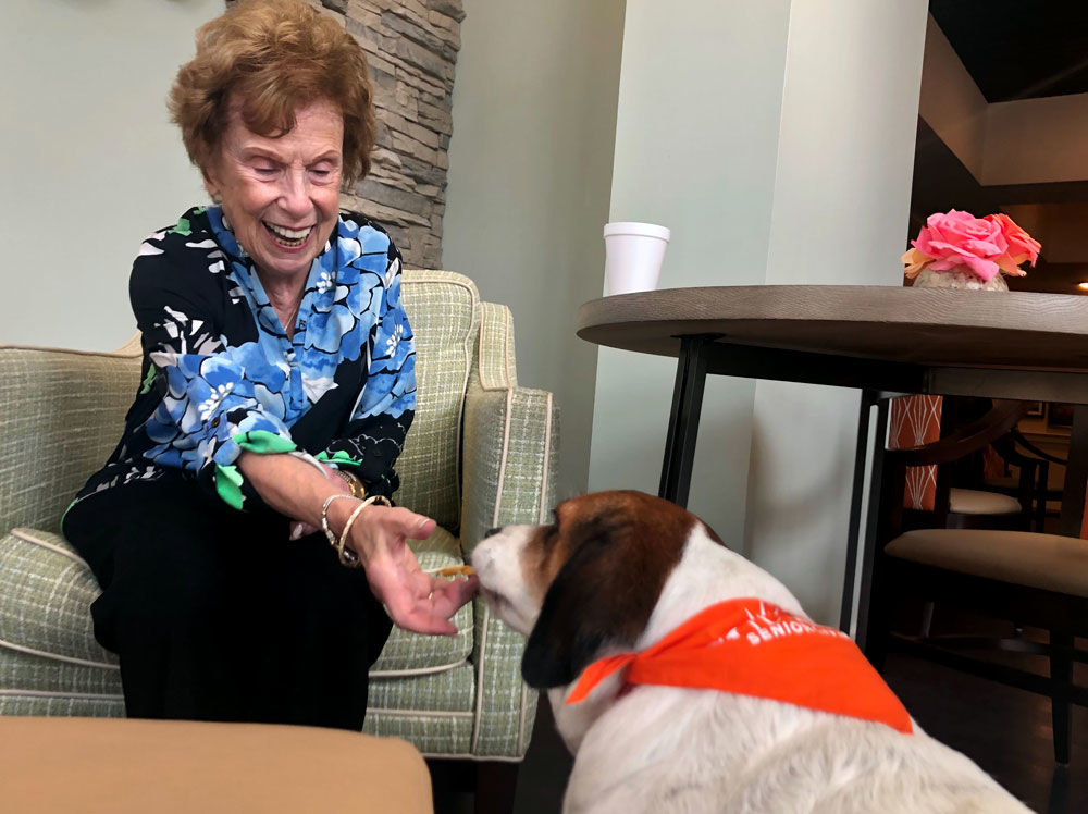 Journey has found a new home at Sunrise Senior Living of Chevy Chase.