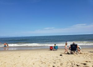 Fisherman captures video of great white shark near Ocean City