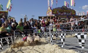 Maryland State Fair