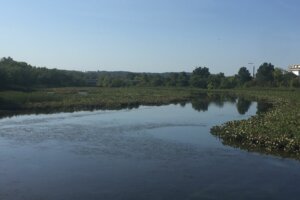 More than 1,000 volunteers showed up to help clean the Anacostia on Saturday.