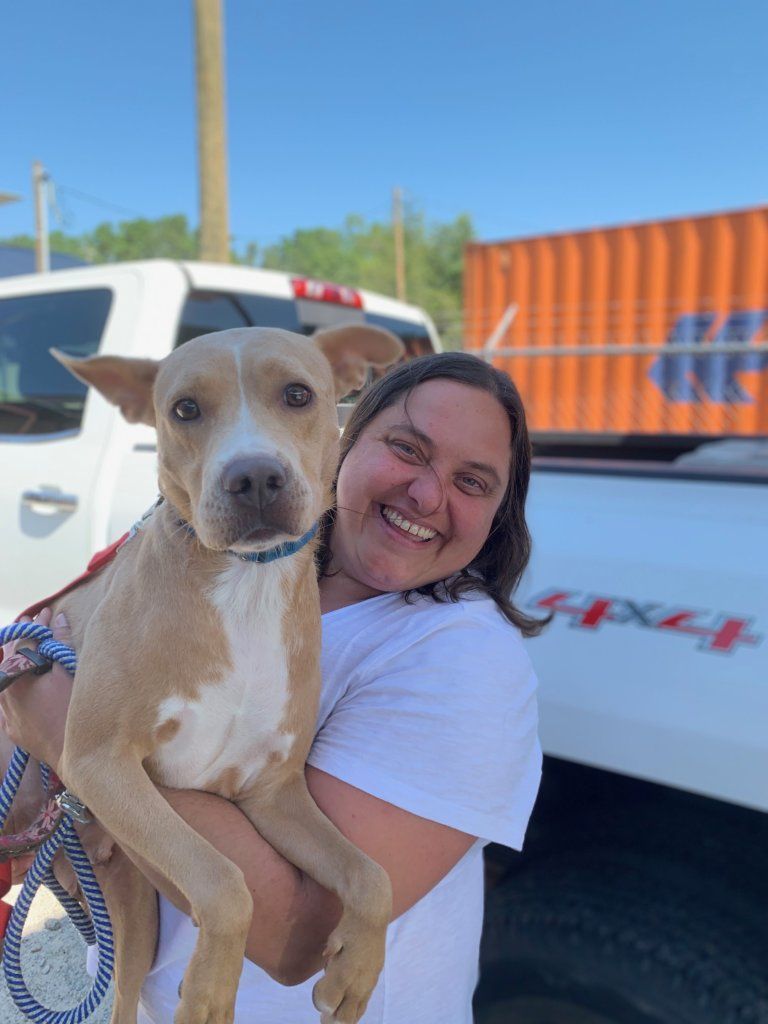 Over 40 cats and dogs arrived in D.C. on Saturday after being evacuated from South Carolina following Hurricane Dorian.
