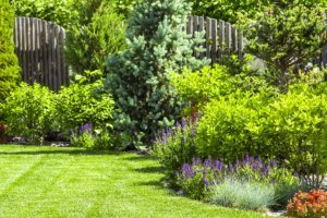 Garden centers and nurseries need to move out the old stock to make room for the new. It's a good time to save.