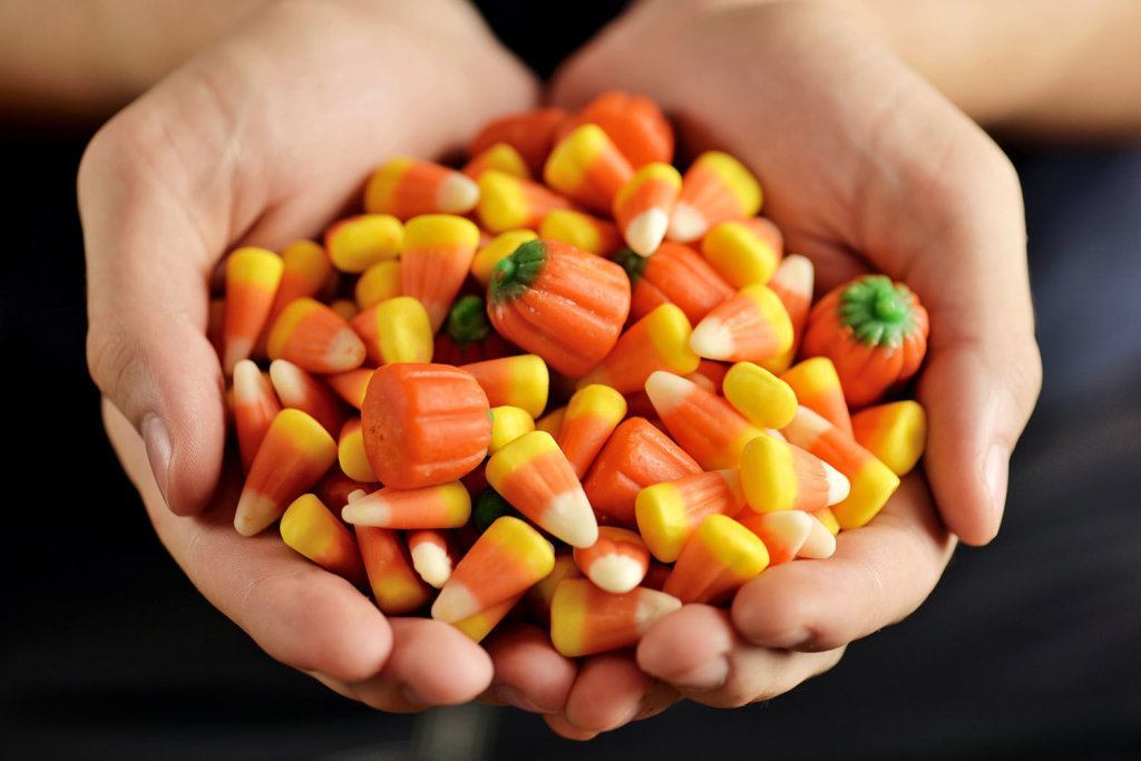 Candy corn and pumpkin in male hands. Halloween party.