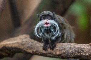 102919 national zoo