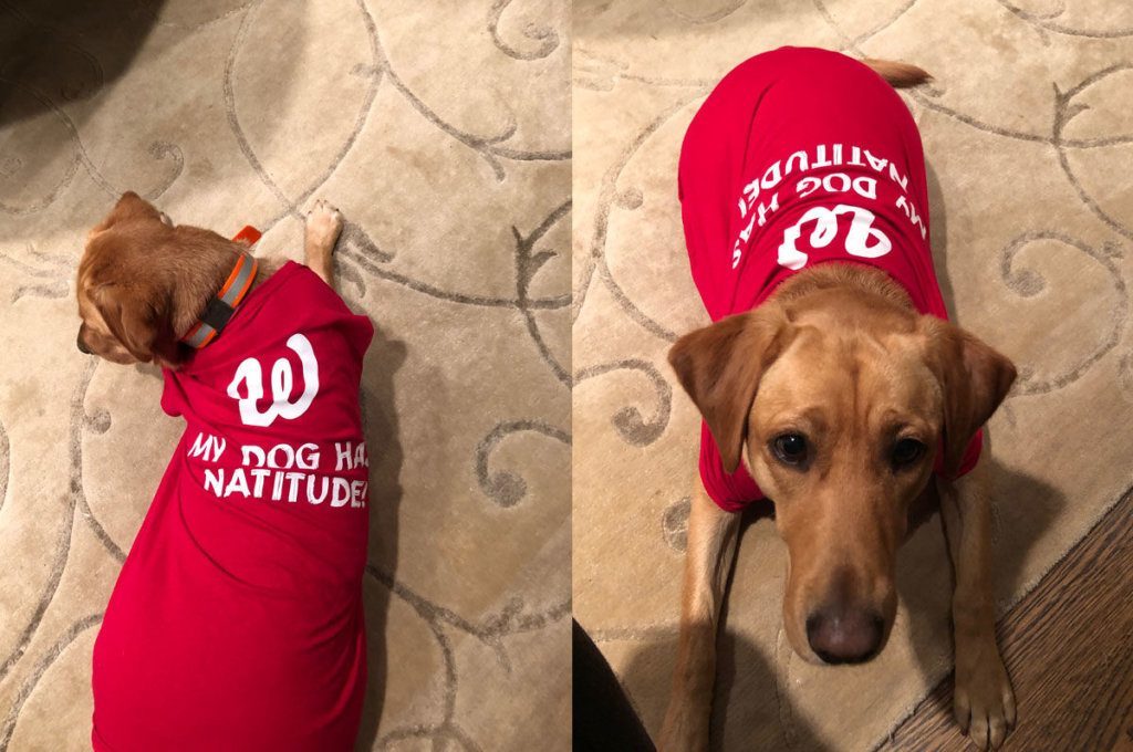 Abby is showing off her Natitude.