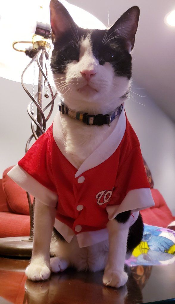 Jack is rocking the Natitude.