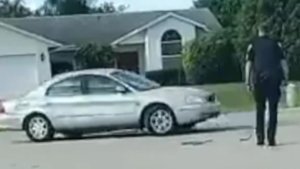 191122082940 dog stuck in car live video