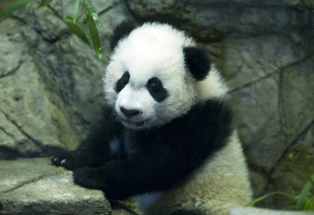 Bei Bei