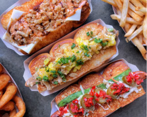 DOGHAUS