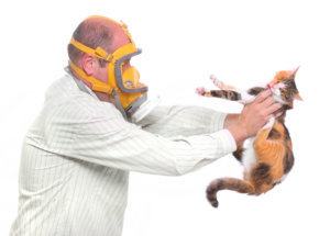 Allergy to animal.