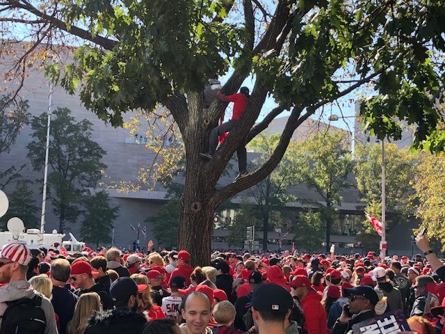 It's not a party on the mall until someone climbs a tree.
