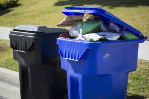 Trash Day