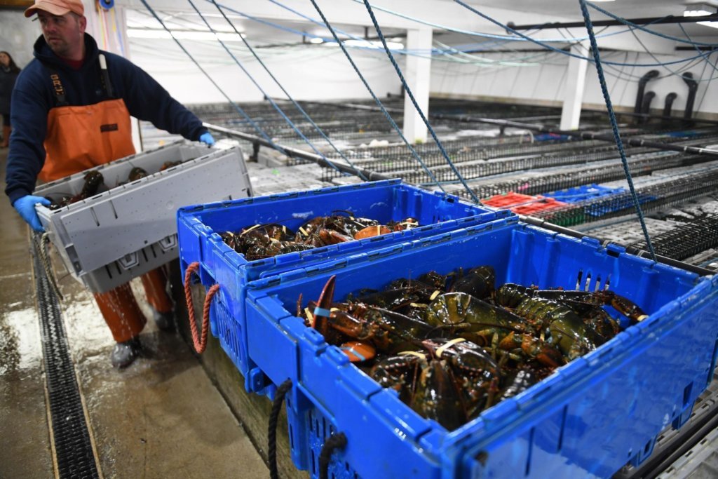 Maine Coast Company