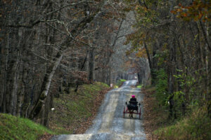 Virginia Daily Life