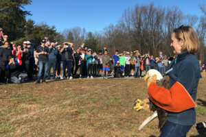 Eagle Release pic Melissa Howell