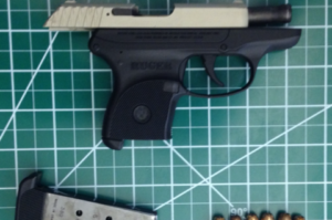 Gun