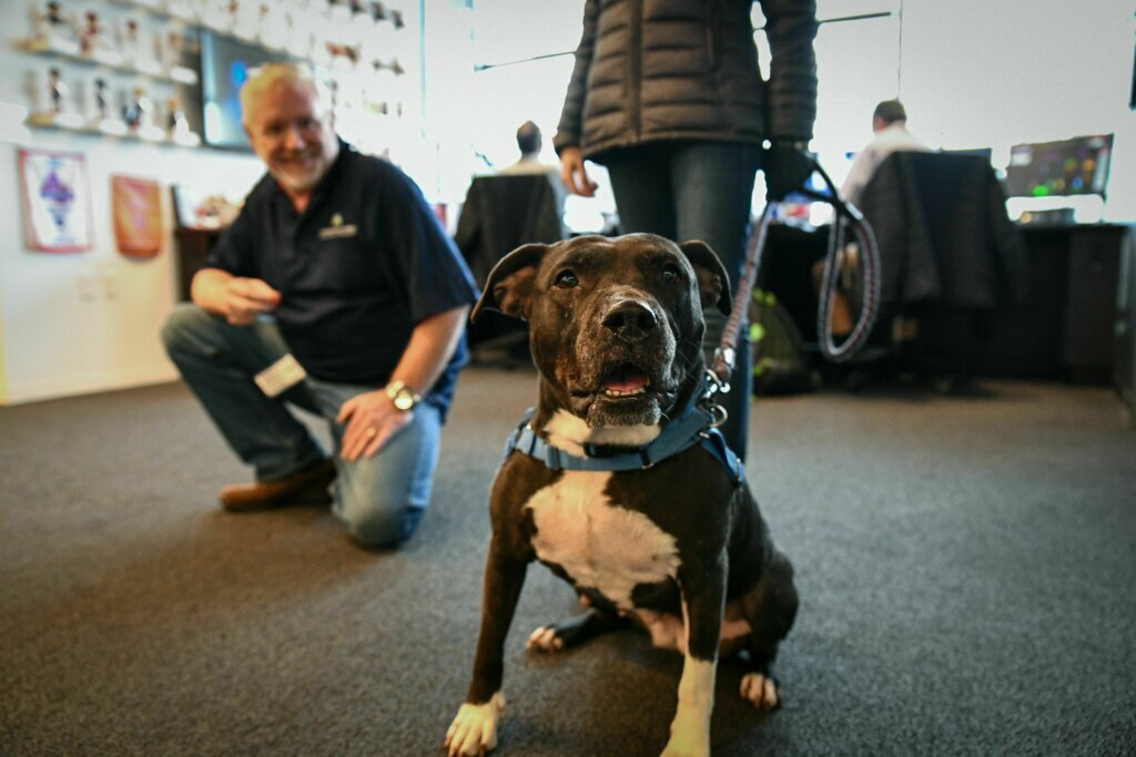 Sasha, Pet of the Week for February 19, 2020