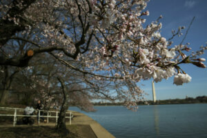 Virus Outbreak Washington