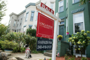 Real Estate