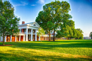 The Lawn