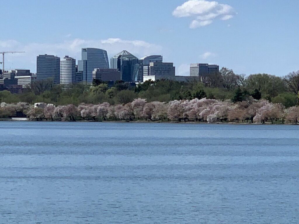 Tidal Basin2 03.30.20
