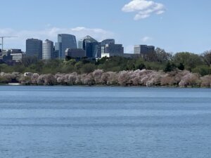 Tidal Basin2 03.30.20