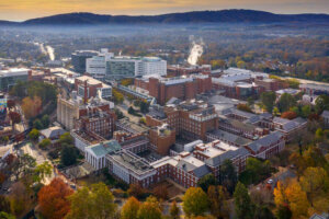 Uva