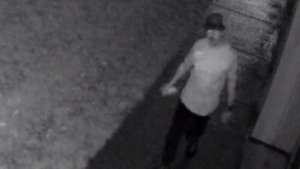 MoCo Synagogue vandalized