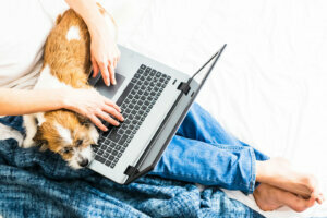 Man with laptop and a small terrier dog on his lap on a bed
