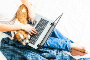 Man with laptop and a small terrier dog on his lap on a bed