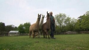 0512 llamas