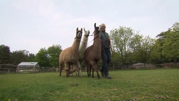 0512 llamas
