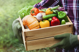 Farmer holds in hands wooden box with vegetables produce in garden. Fresh and organic food.