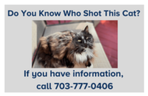 Catsloudoun