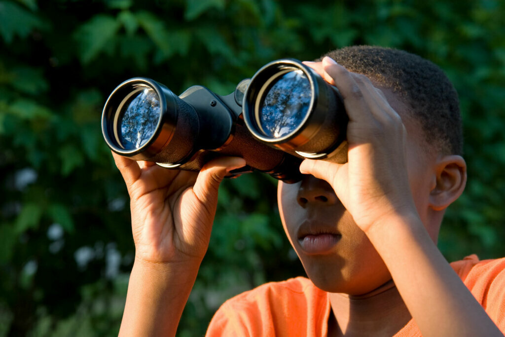 Boy searching trees for birds