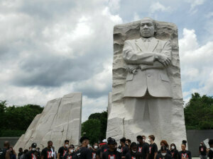 Preston mlk crop