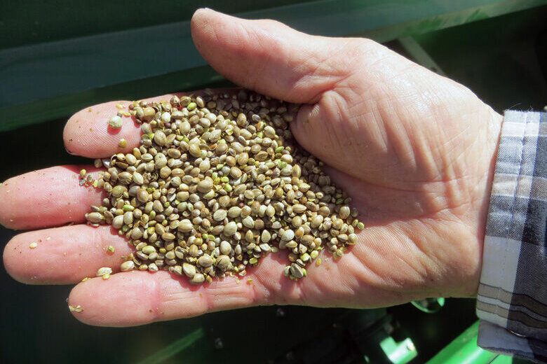 Food And Farm Hemp Woes