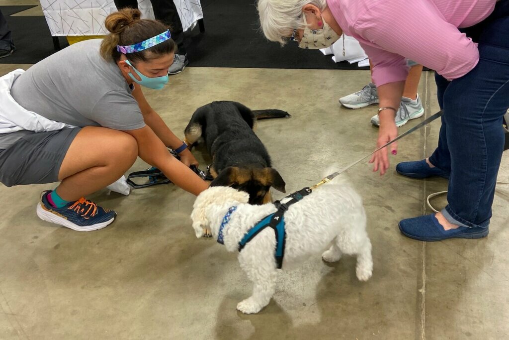 Dogs visit at the Super Pet Expo in Chantilly, Virginia. (Courtesy Jill Collins)