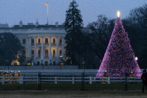 Trump Christmas
