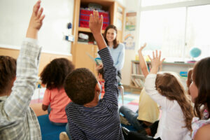 Elementary school kids raising hands to teacher, back view