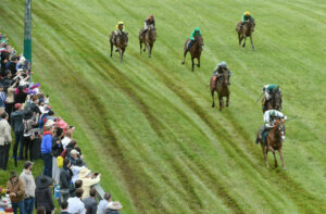 Virginia Gold Cup Races The Plains, VA